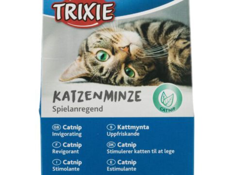 Katzenminze
