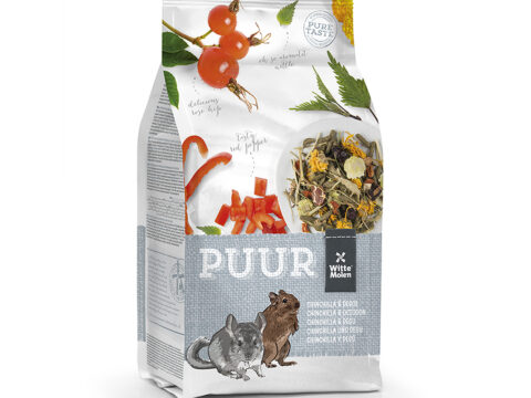 Puur Chinchilla Degu