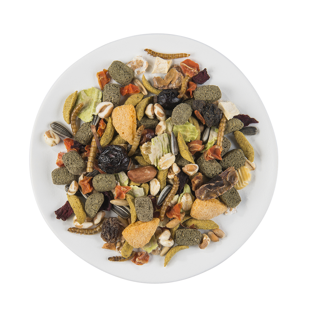 Puur Hamster – Bild 2